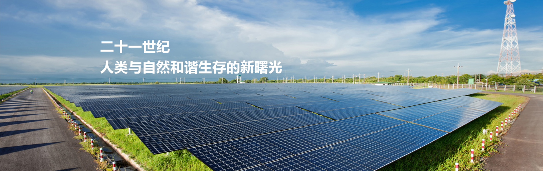 太陽能光伏系統，香港可再生能源